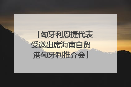 匈牙利恩捷代表受邀出席海南自贸港匈牙利推介会