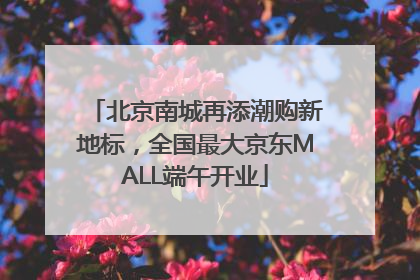 北京南城再添潮购新地标，全国最大京东MALL端午开业