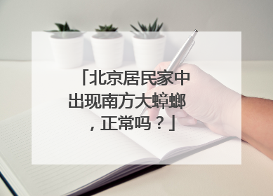 北京居民家中出现南方大蟑螂，正常吗？