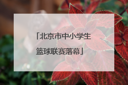 北京市中小学生篮球联赛落幕