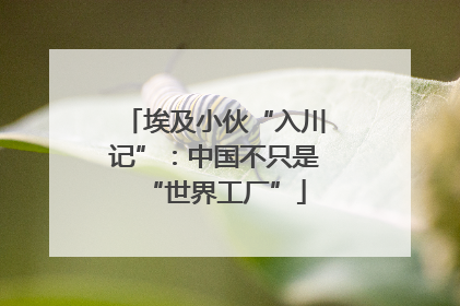 埃及小伙“入川记”：中国不只是“世界工厂”