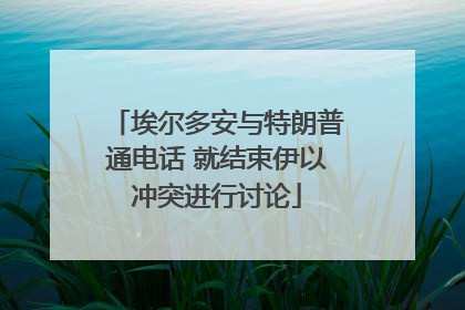 埃尔多安与特朗普通电话 就结束伊以冲突进行讨论