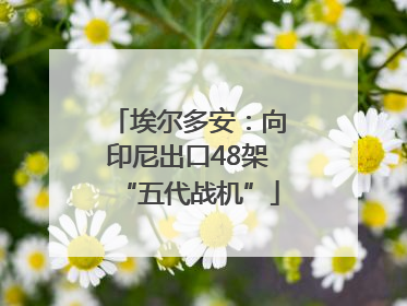 埃尔多安：向印尼出口48架“五代战机”