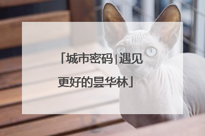 城市密码∣遇见更好的昙华林