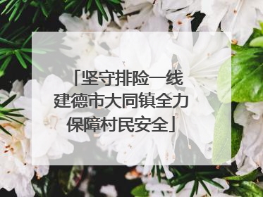 坚守排险一线 建德市大同镇全力保障村民安全
