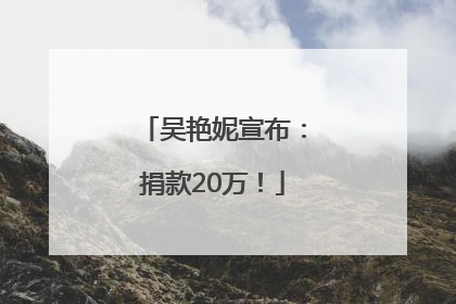 吴艳妮宣布：捐款20万！