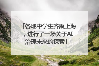 各地中学生齐聚上海，进行了一场关于AI治理未来的探索