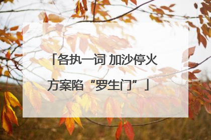 各执一词 加沙停火方案陷“罗生门”