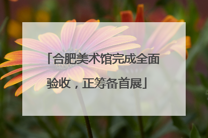 合肥美术馆完成全面验收，正筹备首展