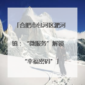 合肥市包河区淝河镇：“微服务”解锁“幸福密码”