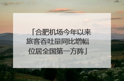 合肥机场今年以来旅客吞吐量同比增幅位居全国第一方阵