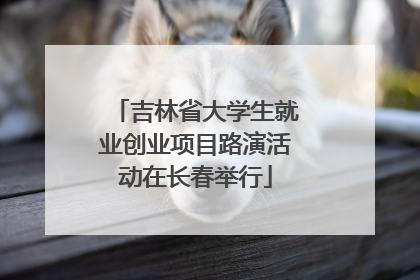 吉林省大学生就业创业项目路演活动在长春举行