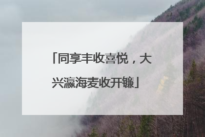 同享丰收喜悦，大兴瀛海麦收开镰