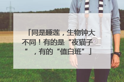同是睡莲，生物钟大不同！有的是“夜猫子”，有的“值白班”
