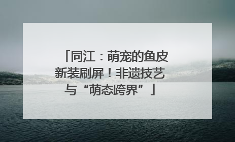 同江：萌宠的鱼皮新装刷屏！非遗技艺与“萌态跨界”