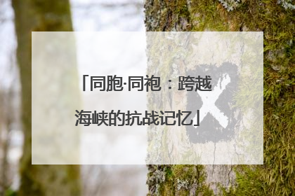 同胞·同袍：跨越海峡的抗战记忆