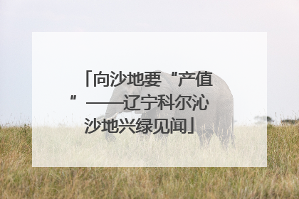 向沙地要“产值”——辽宁科尔沁沙地兴绿见闻