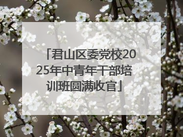君山区委党校2025年中青年干部培训班圆满收官