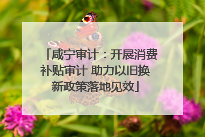 咸宁审计：开展消费补贴审计 助力以旧换新政策落地见效