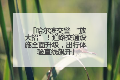 哈尔滨交警 “放大招”！道路交通设施全面升级，出行体验直线飙升