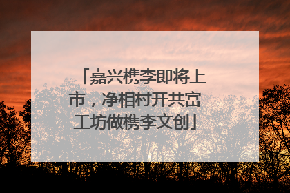 嘉兴槜李即将上市，净相村开共富工坊做槜李文创
