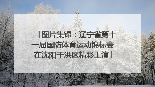 图片集锦：辽宁省第十一届国防体育运动锦标赛在沈阳于洪区精彩上演