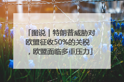 图说｜特朗普威胁对欧盟征收50%的关税，欧盟面临多重压力