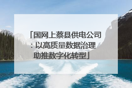 国网上蔡县供电公司：以高质量数据治理 助推数字化转型