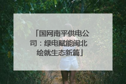 国网南平供电公司：绿电赋能闽北 绘就生态新篇