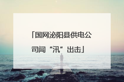 国网泌阳县供电公司闻“汛”出击