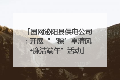 国网泌阳县供电公司：开展“‘粽’享清风 •廉洁端午”活动