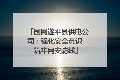 国网遂平县供电公司：强化安全意识 筑牢网安防线