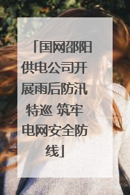 国网邵阳供电公司开展雨后防汛特巡 筑牢电网安全防线