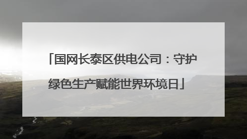 国网长泰区供电公司：守护绿色生产赋能世界环境日