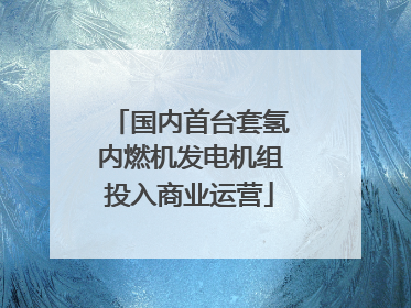 国内首台套氢内燃机发电机组投入商业运营
