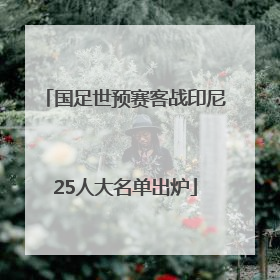 国足世预赛客战印尼25人大名单出炉