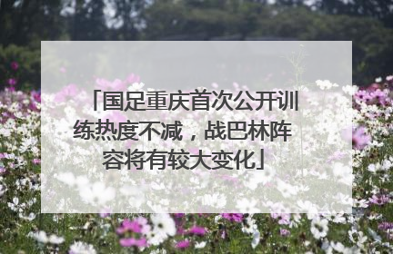 国足重庆首次公开训练热度不减，战巴林阵容将有较大变化