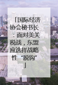 国际经济协会秘书长：面对美关税战，东盟应选择战略性“脱钩”