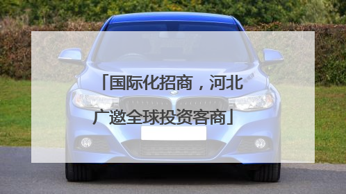 国际化招商，河北广邀全球投资客商