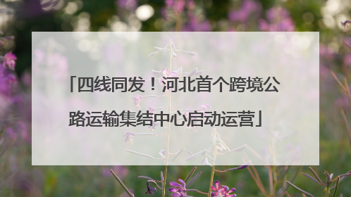 四线同发！河北首个跨境公路运输集结中心启动运营