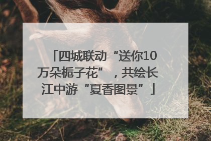 四城联动“送你10万朵栀子花”，共绘长江中游“夏香图景”