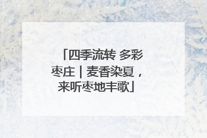 四季流转 多彩枣庄｜麦香染夏，来听枣地丰歌