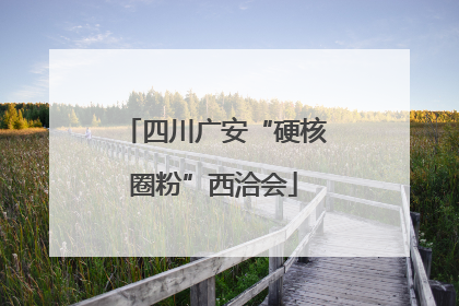 四川广安“硬核圈粉”西洽会
