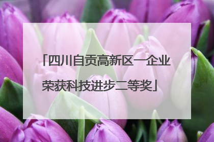 四川自贡高新区一企业荣获科技进步二等奖