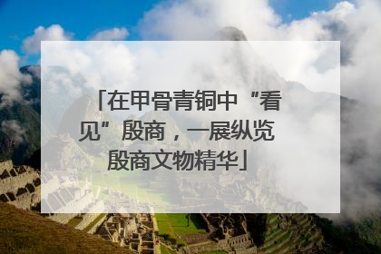 在甲骨青铜中“看见”殷商，一展纵览殷商文物精华