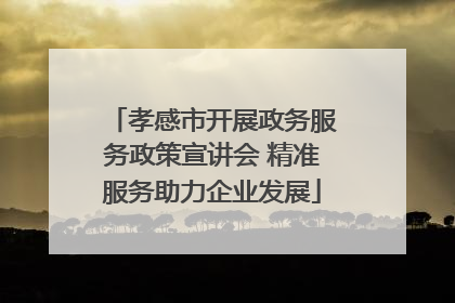 孝感市开展政务服务政策宣讲会 精准服务助力企业发展