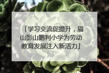 学习交流促提升，眉山彭山鹏利小学为劳动教育发展注入新活力