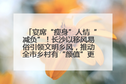 宴席“瘦身”人情“减负”！长沙以移风易俗引领文明乡风，推动全市乡村有“颜值”更显“气质”