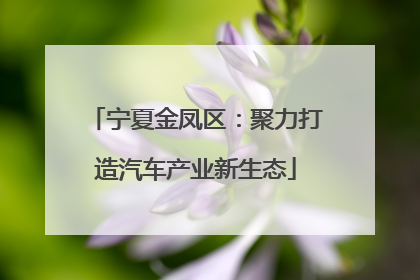 宁夏金凤区：聚力打造汽车产业新生态