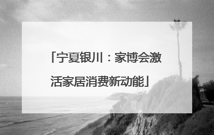 宁夏银川：家博会激活家居消费新动能